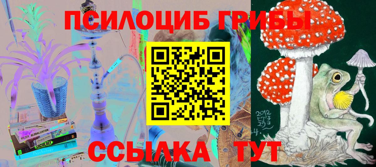 Псилоцибиновые грибы GOLDEN TEACHER Долгопрудный