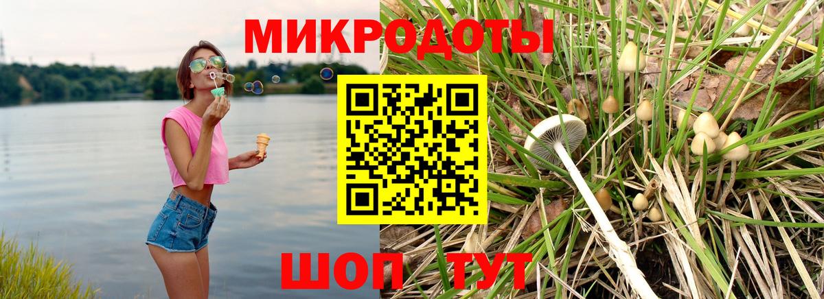 Галлюциногенные грибы Magic Shrooms  Вход с VPN  Долгопрудный  купить  цена  Галлюциногенные грибы Cubensis 